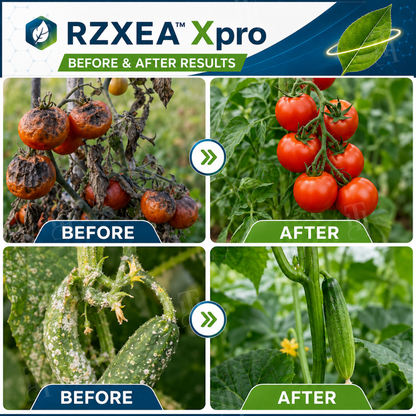 RZXEA™  Xpro Prothioconazole Systemic Fungicide (𝟟𝟘% 𝕆𝔽𝔽 𝗘𝗡𝗗𝗦 𝗜𝗡 𝟭𝟬 𝗠𝗜𝗡𝗨𝗧𝗘𝗦)