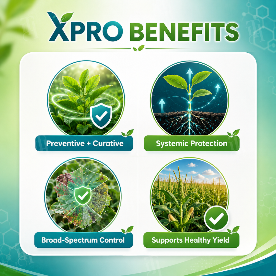 RZXEA™  Xpro Prothioconazole Systemic Fungicide (𝟟𝟘% 𝕆𝔽𝔽 𝗘𝗡𝗗𝗦 𝗜𝗡 𝟭𝟬 𝗠𝗜𝗡𝗨𝗧𝗘𝗦)