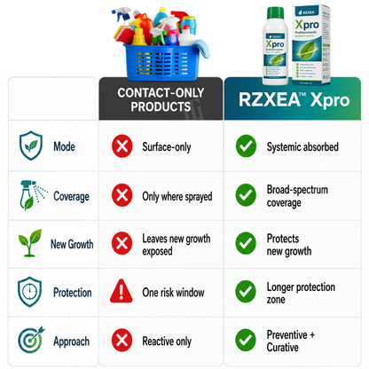 RZXEA™  Xpro Prothioconazole Systemic Fungicide (𝟟𝟘% 𝕆𝔽𝔽 𝗘𝗡𝗗𝗦 𝗜𝗡 𝟭𝟬 𝗠𝗜𝗡𝗨𝗧𝗘𝗦)
