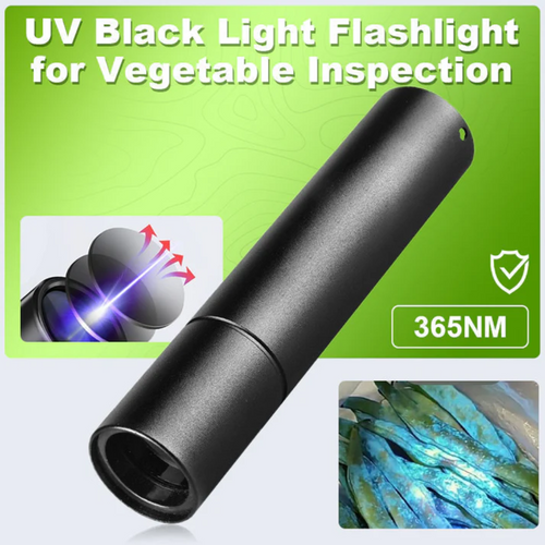 Billhol® UV Black Light Flashlight for Vegetable Inspection (𝟟𝟘% 𝕆𝔽𝔽 𝗘𝗡𝗗𝗦 𝗜𝗡 𝟭𝟬 𝗠𝗜𝗡𝗨𝗧𝗘𝗦)