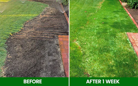 🏆Official Store | 🔥Hot Sale - 50% OFF🌿AEXZR®  Compostable Lawn Grow Mat