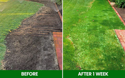 🏆Official Store | 🔥Hot Sale - 50% OFF🌿AEXZR®  Compostable Lawn Grow Mat