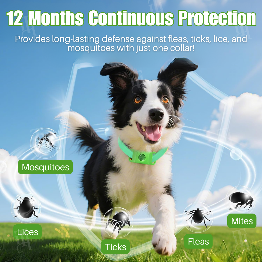 RZXEA™ Pet 12 Months Prevention Collar (𝟟𝟘% 𝕆𝔽𝔽 𝗘𝗡𝗗𝗦 𝗜𝗡 𝟭𝟬 𝗠𝗜𝗡𝗨𝗧𝗘𝗦)