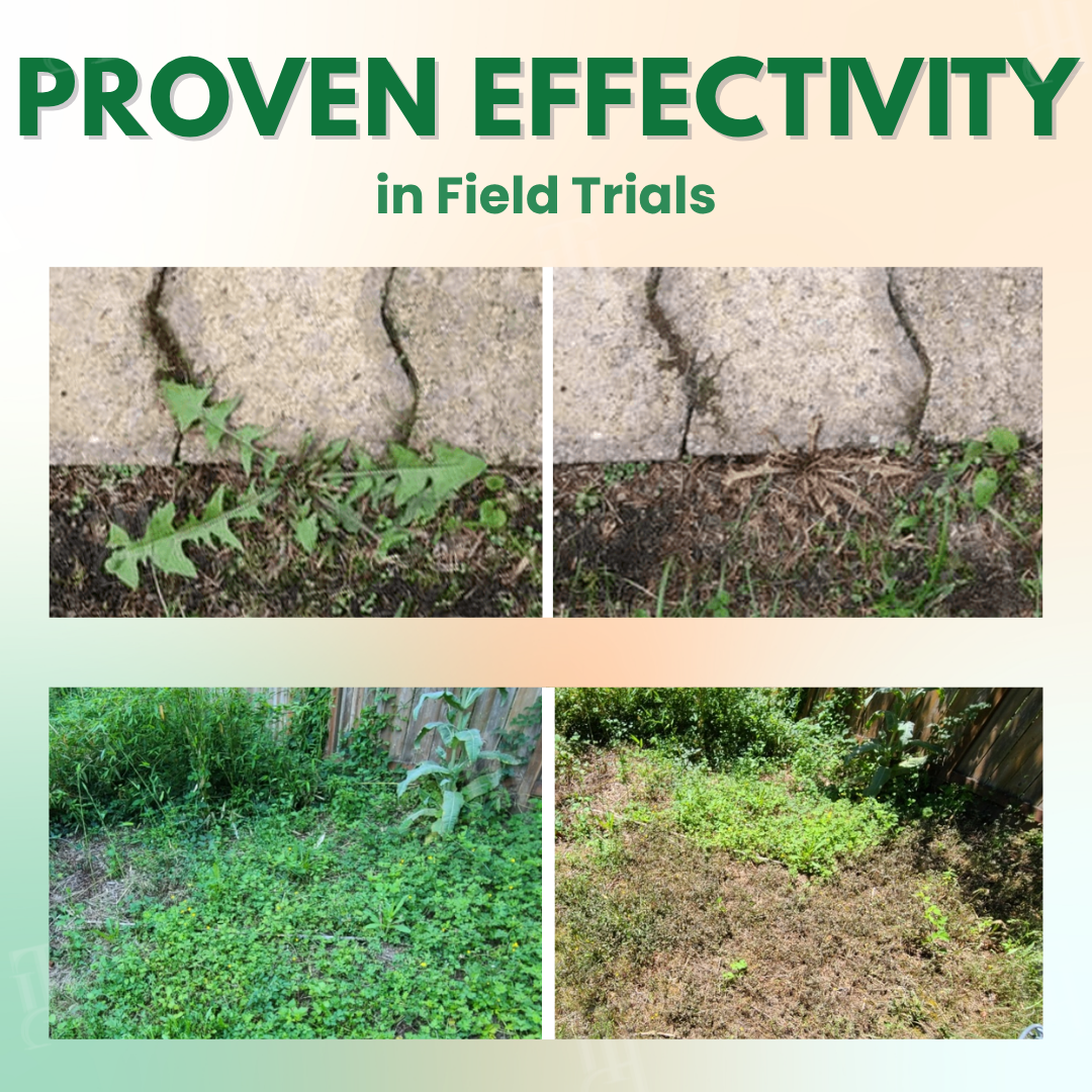 AEXZR® 5 in 1 Max Power Herbicide (𝗕𝗟𝗔𝗖𝗞 𝗙𝗥𝗜𝗗𝗔𝗬 𝗦𝗔𝗟𝗘 𝟰𝟬% 𝗢𝗙𝗙 𝗘𝗡𝗗𝗜𝗡𝗚 𝗦𝗢𝗢𝗡)