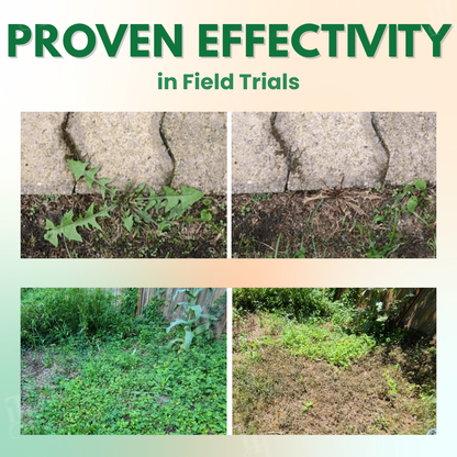 AEXZR® 5 in 1 Max Power Herbicide (𝗕𝗟𝗔𝗖𝗞 𝗙𝗥𝗜𝗗𝗔𝗬 𝗦𝗔𝗟𝗘 𝟰𝟬% 𝗢𝗙𝗙 𝗘𝗡𝗗𝗜𝗡𝗚 𝗦𝗢𝗢𝗡)