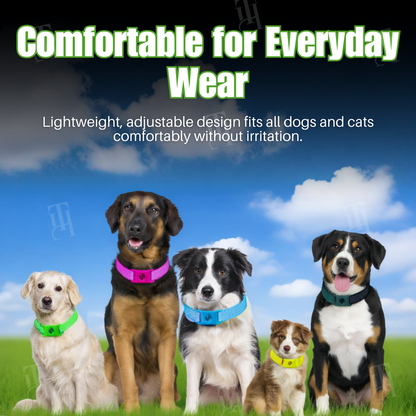 RZXEA™ Pet 12 Months Prevention Collar (𝟟𝟘% 𝕆𝔽𝔽 𝗘𝗡𝗗𝗦 𝗜𝗡 𝟭𝟬 𝗠𝗜𝗡𝗨𝗧𝗘𝗦)
