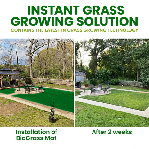 🏆Official Store | 🔥Hot Sale - 50% OFF🌿AEXZR®  Compostable Lawn Grow Mat