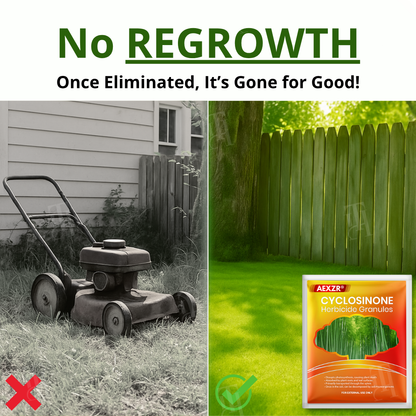 AEXZR® Cyclosinone Herbicide Granules (𝟟𝟘% 𝕆𝔽𝔽 𝗘𝗡𝗗𝗦 𝗜𝗡 𝟭𝟬 𝗠𝗜𝗡𝗨𝗧𝗘𝗦)
